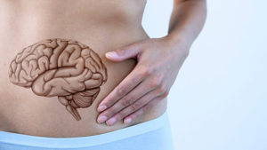 woman holding stomach with illustration of digestive system - Gut health Oak Brook, IL