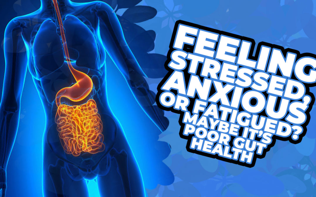 Feeling Stressed, Anxious, or Fatigued? Maybe It’s Poor Gut Health